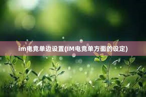 im电竞单边设置(IM电竞单方面的设定)