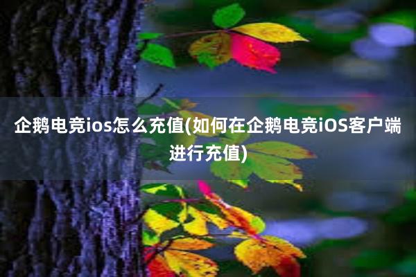 企鹅电竞ios怎么充值(如何在企鹅电竞iOS客户端进行充值)