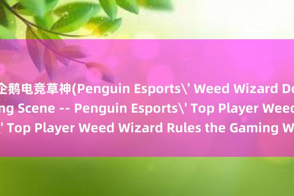 企鹅电竞草神(Penguin Esports' Weed Wizard Dominates the Gaming Scene -- Penguin Esports' Top Player Weed Wizard Rules the Gaming World)