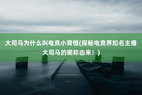 大司马为什么叫电竞小育恒(探秘电竞界知名主播大司马的昵称由来！)