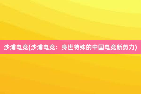 沙浦电竞(沙浦电竞：身世特殊的中国电竞新势力)