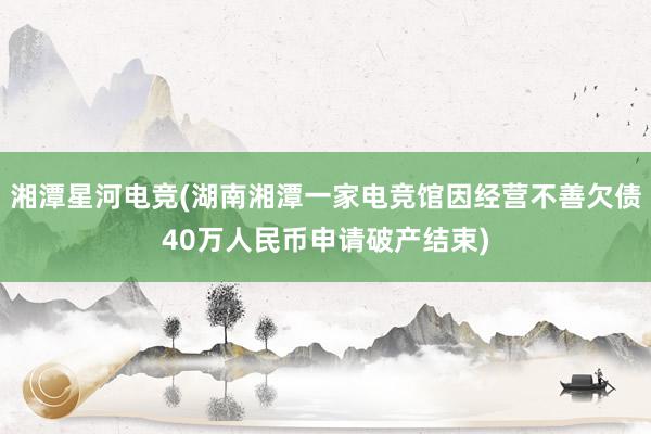 湘潭星河电竞(湖南湘潭一家电竞馆因经营不善欠债40万人民币申请破产结束)