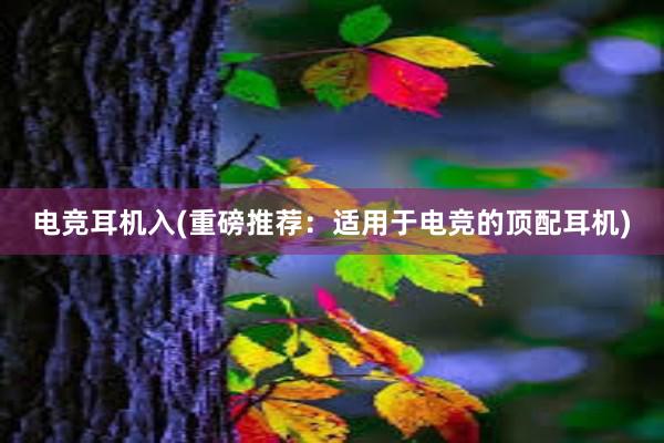 电竞耳机入(重磅推荐：适用于电竞的顶配耳机)