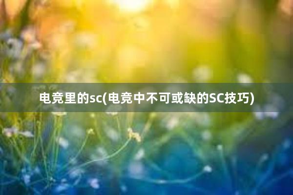 电竞里的sc(电竞中不可或缺的SC技巧)