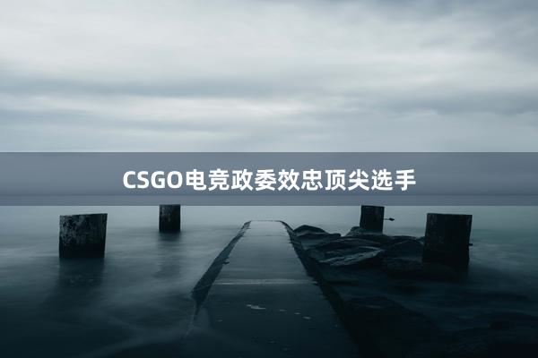 CSGO电竞政委效忠顶尖选手