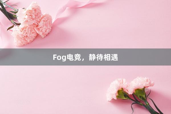 Fog电竞，静待相遇