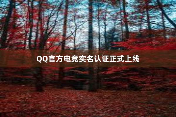 QQ官方电竞实名认证正式上线