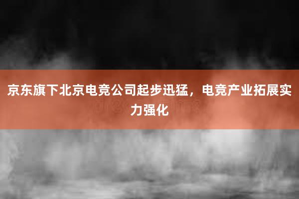 京东旗下北京电竞公司起步迅猛，电竞产业拓展实力强化