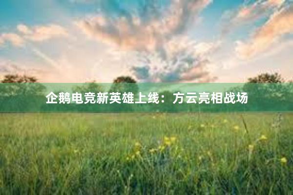 企鹅电竞新英雄上线：方云亮相战场