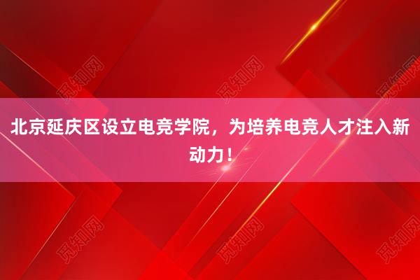 北京延庆区设立电竞学院，为培养电竞人才注入新动力！