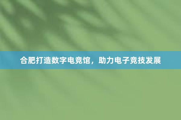 合肥打造数字电竞馆，助力电子竞技发展