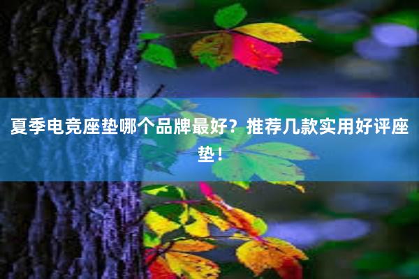 夏季电竞座垫哪个品牌最好？推荐几款实用好评座垫！