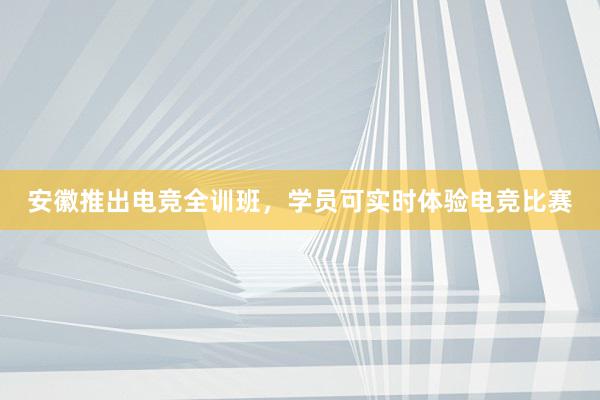 安徽推出电竞全训班，学员可实时体验电竞比赛