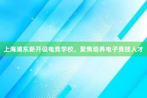 上海浦东新开设电竞学校，聚焦培养电子竞技人才