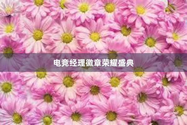 电竞经理徽章荣耀盛典