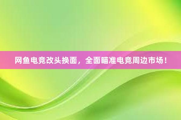 网鱼电竞改头换面，全面瞄准电竞周边市场！