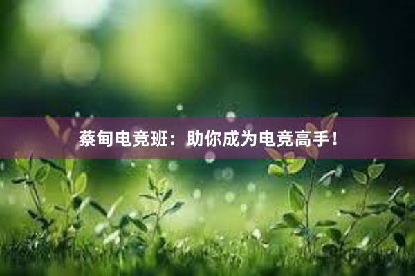 蔡甸电竞班：助你成为电竞高手！